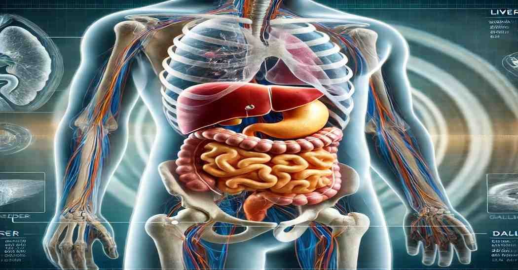 MRI abdomen scan